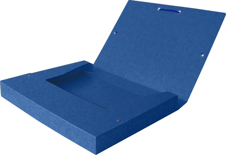Image du produit Oxford Boîte de rangement TOP FILE+, A4 (A4, 1 x)