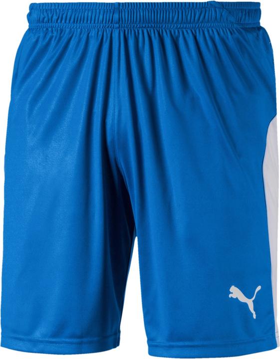 Puma Liga (XL)