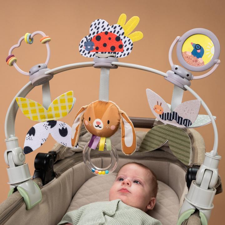 Image du produit Taf Toys Grow with me