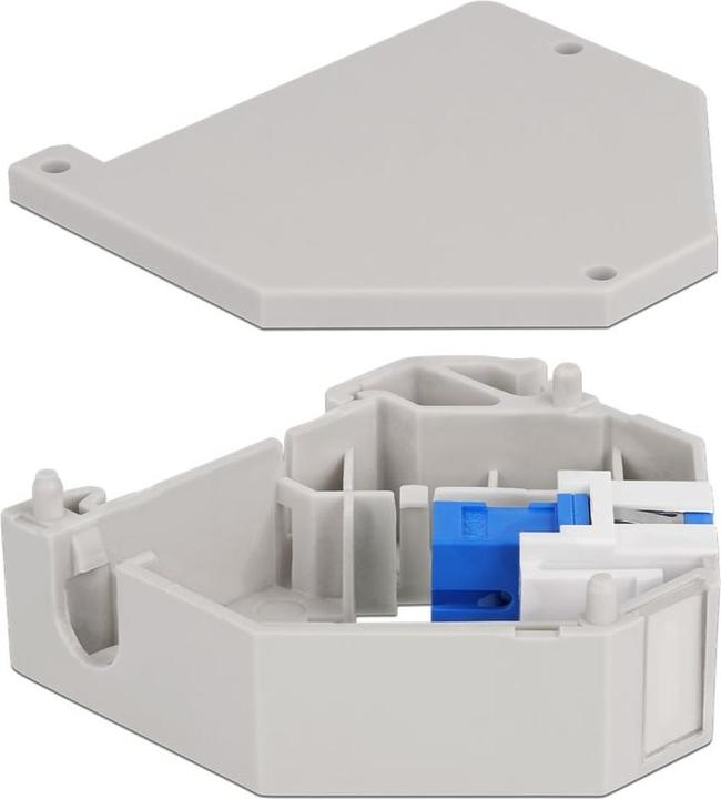 Image du produit Delock Adaptateur pour profilé chapeau avec Keystone SC Simplex femelle vers SC Simplex femelle bleu