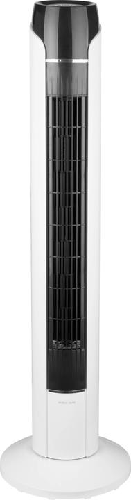 Actual product image Nordic Tower fan (50 dB)