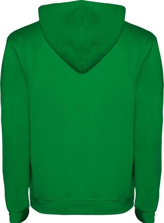 Actual product image Alpinia Childrens/Kids Urban Drawstring Hoodie (104)