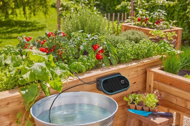 Productafbeelding Gardena Solar-Bewässerung AquaBloom L Set (Set druppelirrigatie)