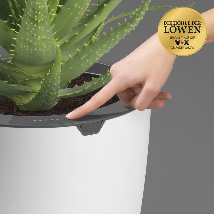 Produktbild Die Höhle der Löwen LazyLeaf