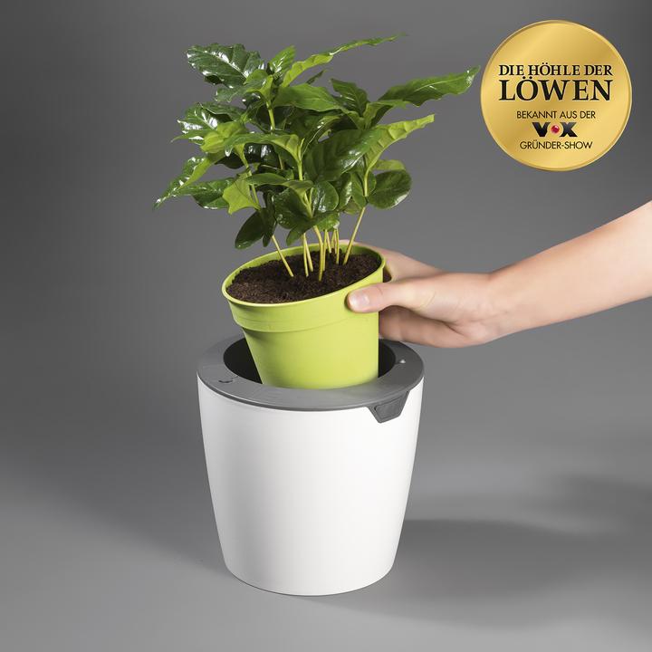 Produktbild Die Höhle der Löwen LazyLeaf