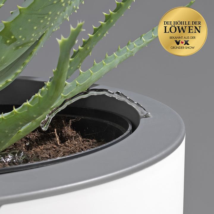 Produktbild Die Höhle der Löwen LazyLeaf