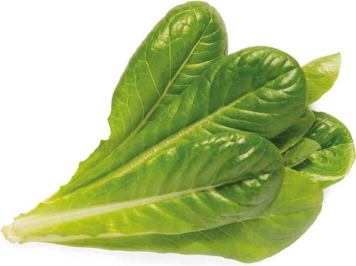 Image du produit Click and Grow Laitue Romaine (Germes)