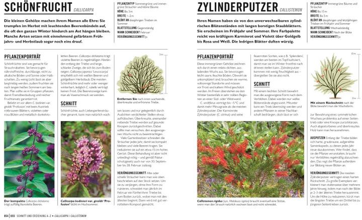 Produktbild Grünes Gartenwissen. Pflanzen richtig schneiden (Deutsch, Stephanie Mahon, Reinhard Ferstl, DK Verlag, 2022)