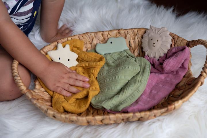 Image du produit Tikiri Doudou crocodile
