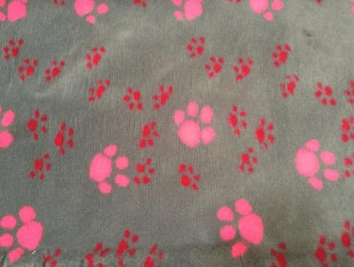 Immagine prodotto Dry Bed Coperta per cani, grigia con zampe rosse e rosa (Cane)
