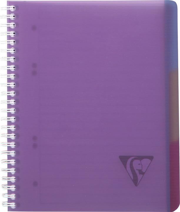 Actual product image Clairefontaine Linicolor Evolutive Book (A4+, Checked, Soft cover)