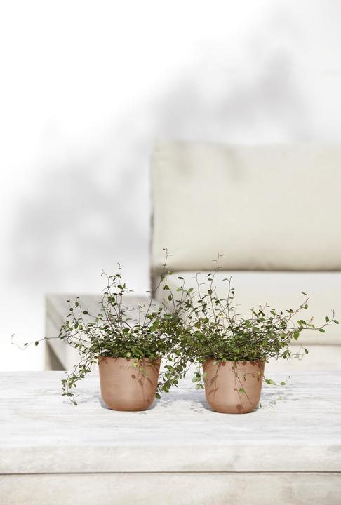 Produktbild Ecopots Oslo Mini (11.50 cm)