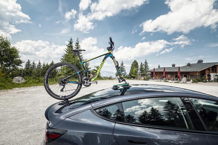 Actual product image TreeFrog Bike Rack Pro 1