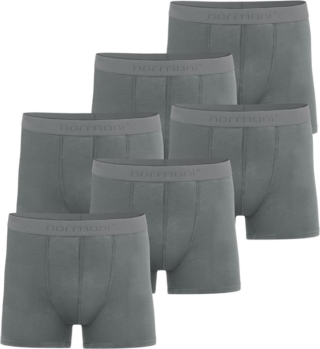 Normani 6 Herren Boxershorts aus Bambus-Viskose Cubao - 8863