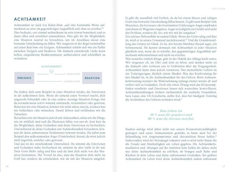 Image du produit The New You mint) - Das Buch, das dein Leben verändert (Allemand, Iris Reiche, 2024)