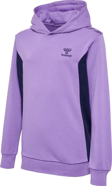 Image du produit hummel Hmlstaltic Cotton Hoodie Kids (164)