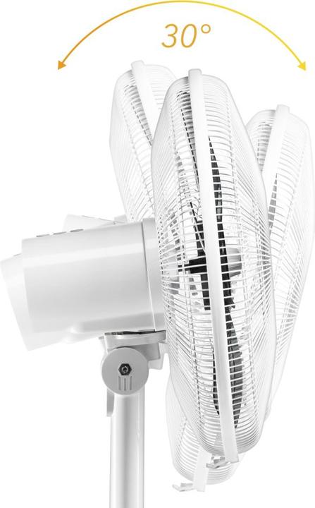 Actual product image Trotec Designer Pedestal Fan TVE 24 S (60 dB)