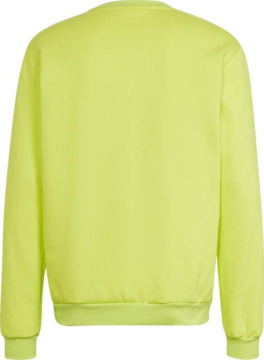 Actual product image adidas Entrada 22 sweatshirt men (S)