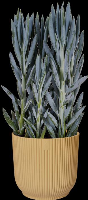 Produktbild Elho Blumentopf (16.10 cm)