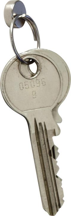 Productafbeelding Maul Neodymium magneet (10 x)