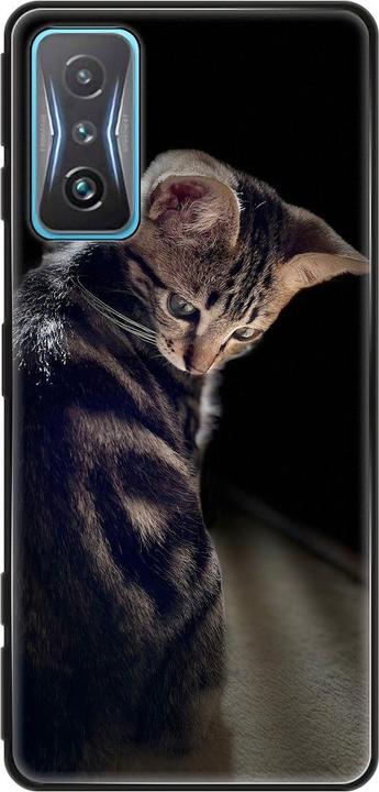 Junge Katze