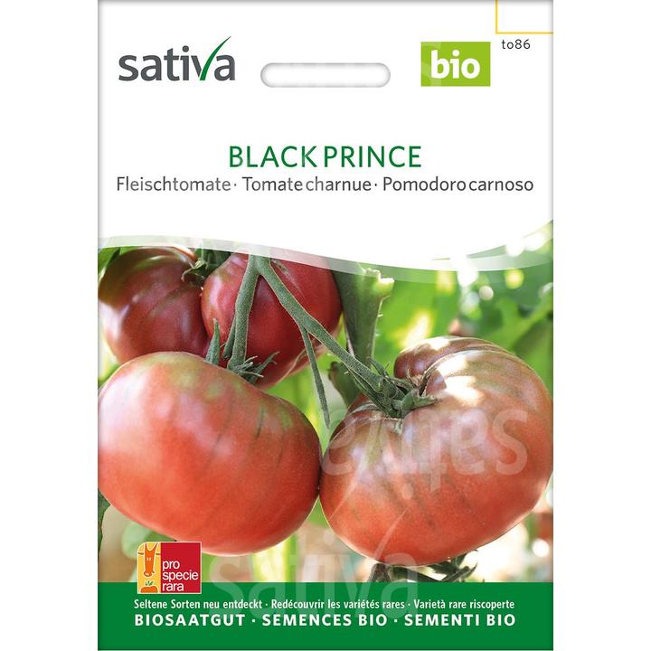 Immagine prodotto Sativa Principe nero (Solanum lycopersicum) (Bomba da seme)