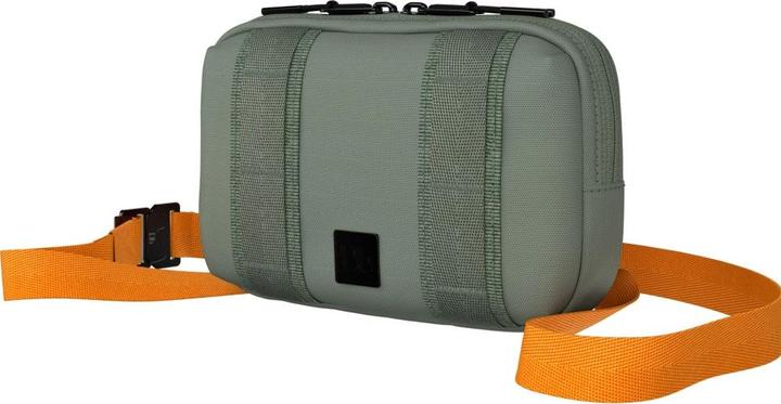 D_b_ The Vault Tasche