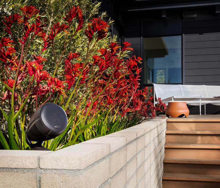 Actual product image Polk ATRIUM 100SUBTE Home Audio Outdoor terracotta