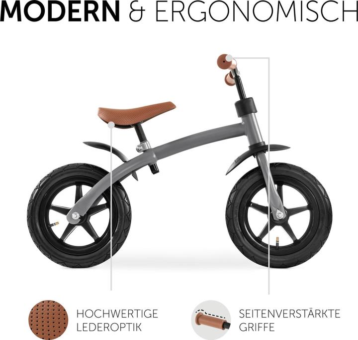 Image du produit Hauck E Z Rider 12 Gris mat (12")