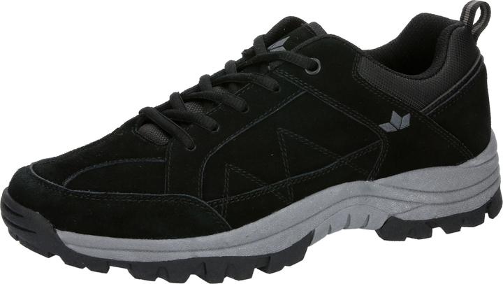 Actual product image Lico Argus (45)