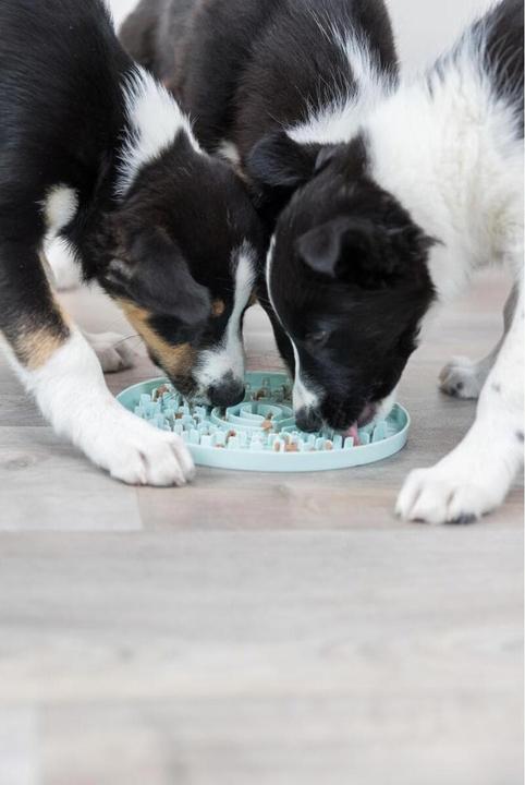 Actual product image Trixie Junior Licking Plate, Ø 21 cm, Mint (Dog activity toy)
