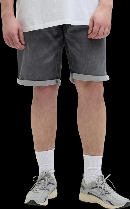 Image du produit Jack & Jones JJIRICK JJICON I.K. SHORTS GE 062 SN PLS (46)