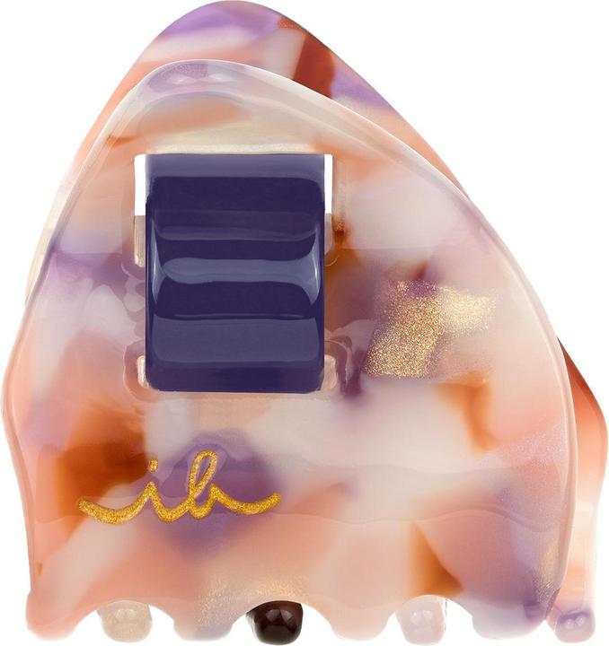 Invisibobble Everclaw (Accessoires)