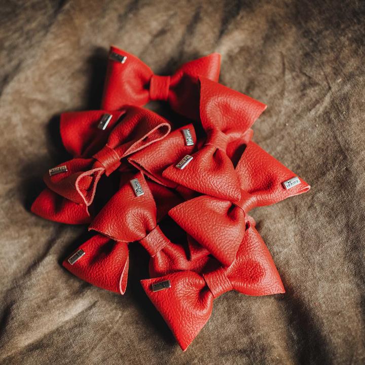 Immagine prodotto Hunter Accessori per colletto papillon Parigi, rosso (Cane, Generale)