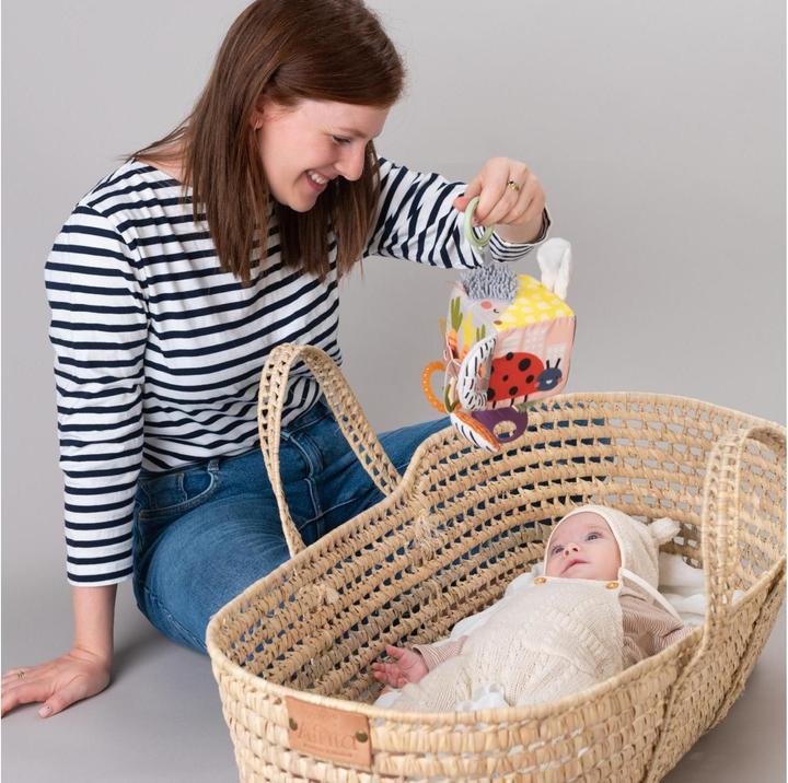 Actual product image Taf Toys Urban Garden