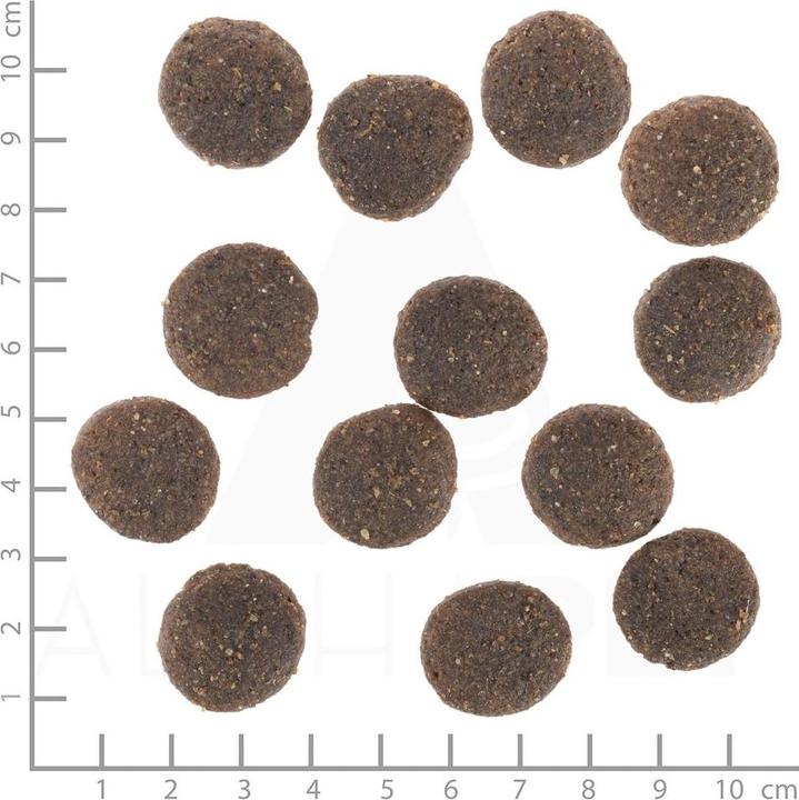 Actual product image Wolfsblut Dry food Dog Range Lamb, 12.5 kg (Adult, 1 pcs., 12500 g)
