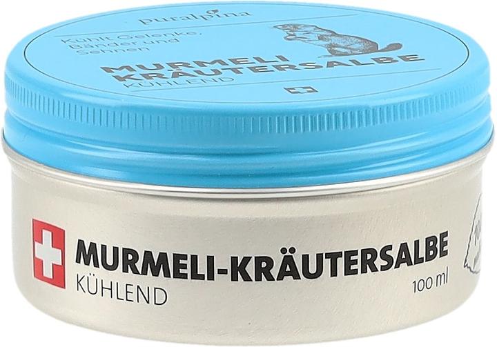 Produktbild Puralpina Murmeli-Kräutersalbe (1 x, 100 ml, 110 g)