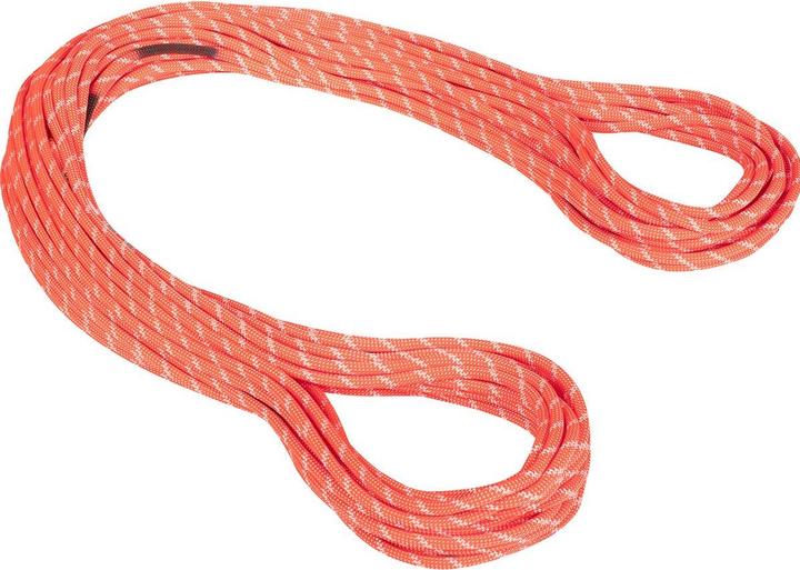 Immagine prodotto Mammut Corda da arrampicata 8.0 Alpine Classic (60 m)
