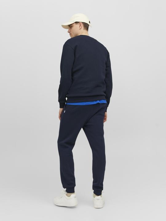 Actual product image Jack & Jones Gordon Bradley Sweatpants (M)