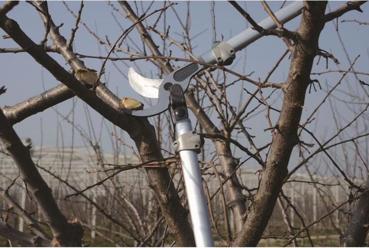 Actual product image Felco pruning shears