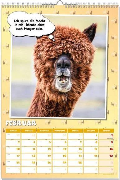Actual product image Cool llamas poster calendar 2025 (German)