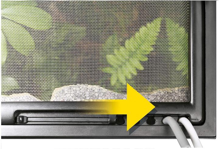 Produktbild Exo Terra Terrarium Mini