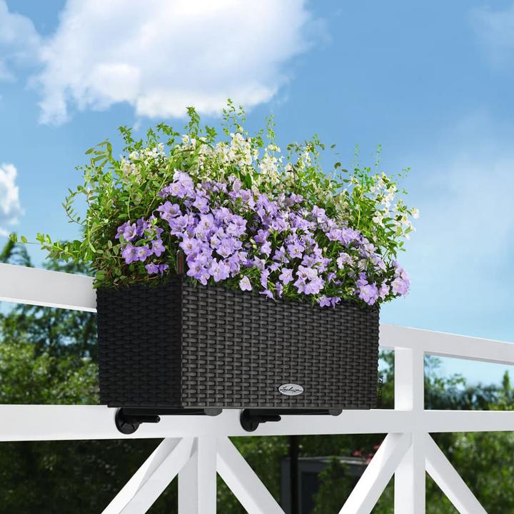 Produktbild Lechuza Balconera Cottage (19 cm)