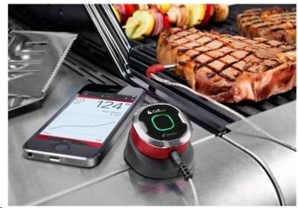 Image du produit Weber iGrill mini