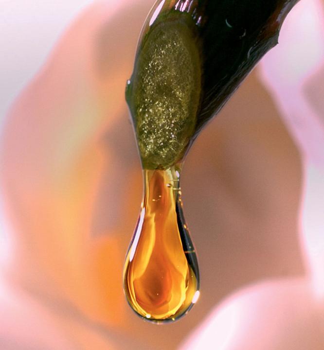 Produktbild Dior Micro Huile Rose Advanced (75 ml)