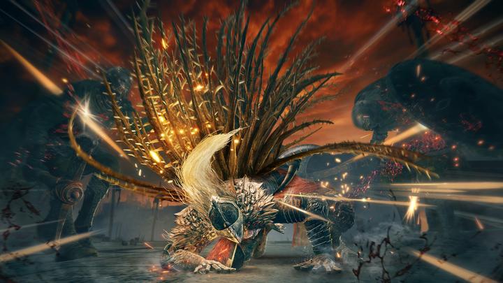 Produktbild Bandai Namco Elden Ring: Shadow of the Erdtree - Collector's Edition (Xbox Series X)
