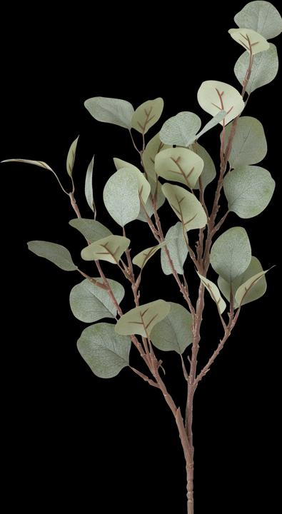 Actual product image Boltze Home Eucalyptus (69 cm)