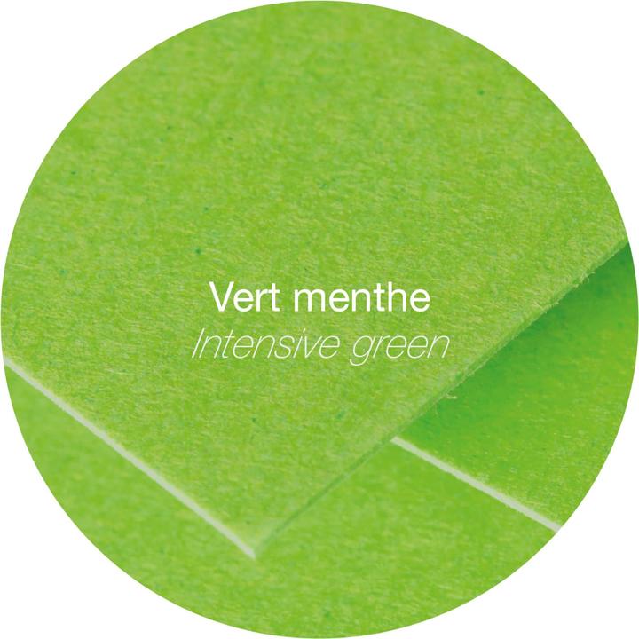 Immagine prodotto Pollen Polline di carte (210 g/m², 25 x, 110 x 155 mm)