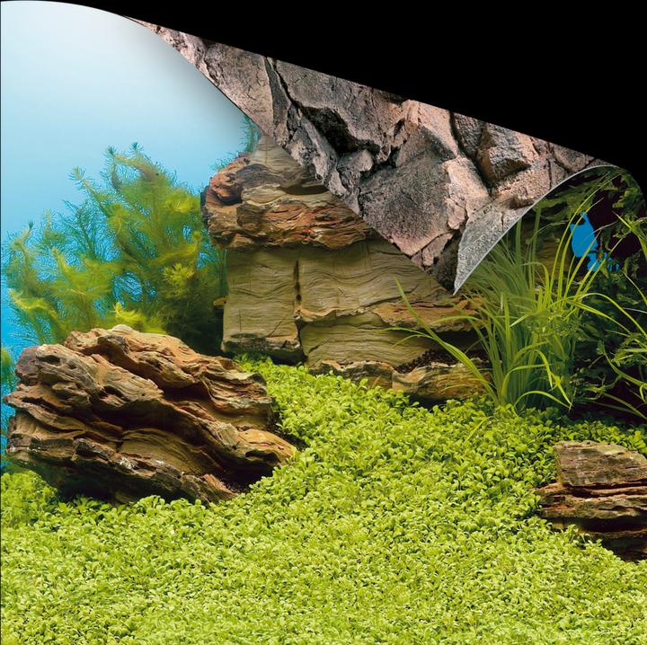 Produktbild Juwel Aquarium Fotorückwand (Rückwand, sonstige Gegenstände)