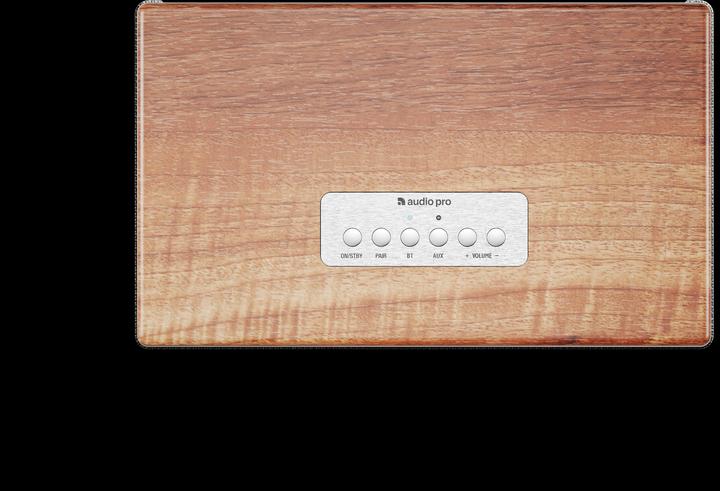 Audio Pro BT5 (Electrical connection)